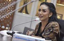 Tetap Totalitas Meski Tak Lagi Terpilih, Intip Potret Kris Dayanti Jalani Hari-hari Terakhir Sebagai Anggota DPR