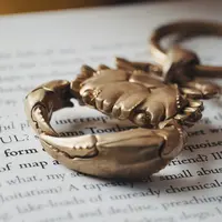 Ilustrasi Zodiak Cancer/Photo by COPPERTIST WU on Unsplash