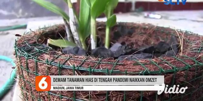 VIDEO: Limbah Sabut Kelapa Melimpah, Warga Madiun Sulap Jadi Pot Bunga