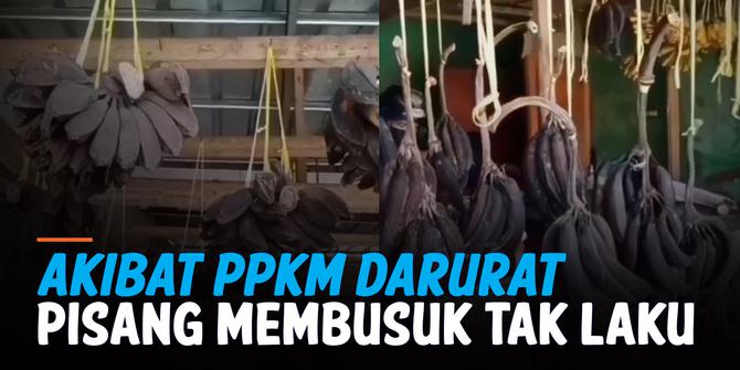 VIDEO: Pedagang Keluhkan Dagangannya Tak Laku dan Membusuk Akibat PPKM