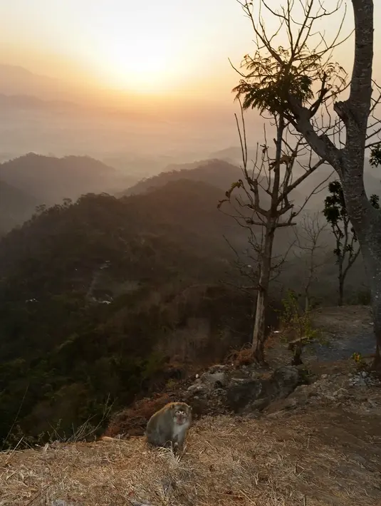 Gondopurowangi (Bambang E Ros/Fimela.com)