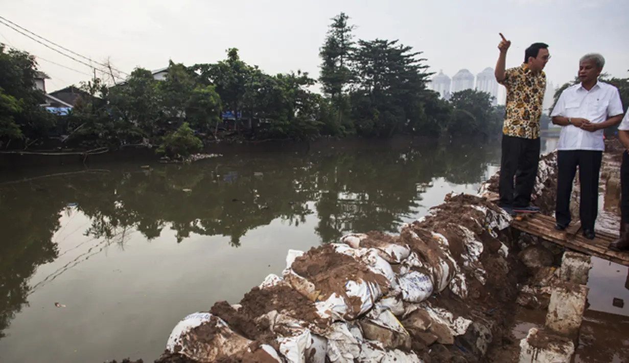 Gubernur Ahok didampingi Kepala Balai Besar Wilayah Sungai Ciliwung Cisadane T Iskandar saat meninjau pembangunan tanggul Kali Sunter, Kelapa Gading, Jakarta Utara, Kamis (12/2/2015). (Antara Foto/Sigid Kurniawan)