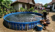 7 Cara Membuat Kolam Lele Rumahan Tanpa Menggali Tanah, Hemat Tempat dan Biaya