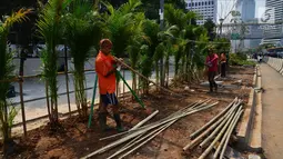 Pekerja menanam pohon di jalur pedestrian Jalan Sudirman, Jakarta, Jumat (6/7). Penanaman pohon dilakukan untuk mempercantik Jakarta jelang Asian Games 2018. (Liputan6.com/Arya Manggala)