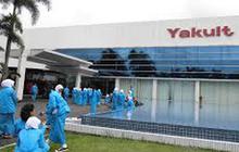 Yakult Buka Lowongan Kerja Lulusan S1 dan D3, Posisi Strategis Penempatan di Kantor Pusat