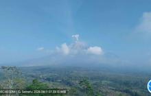Semeru Erupsi Delapan Kali, Cek Batas Area Steril