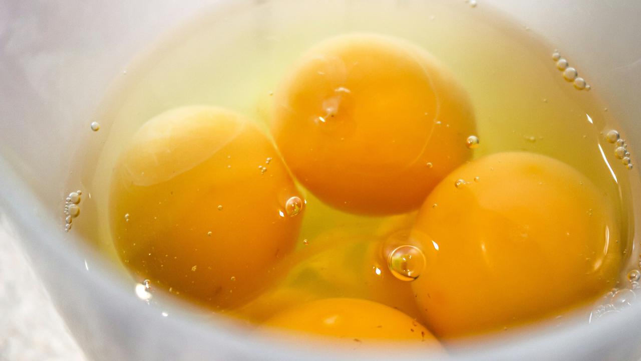 manfaat kuning telur