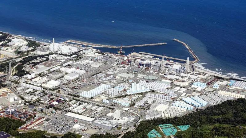 Jepang Bakal Bawa China ke WTO Usai Larangan Impor Produk Laut