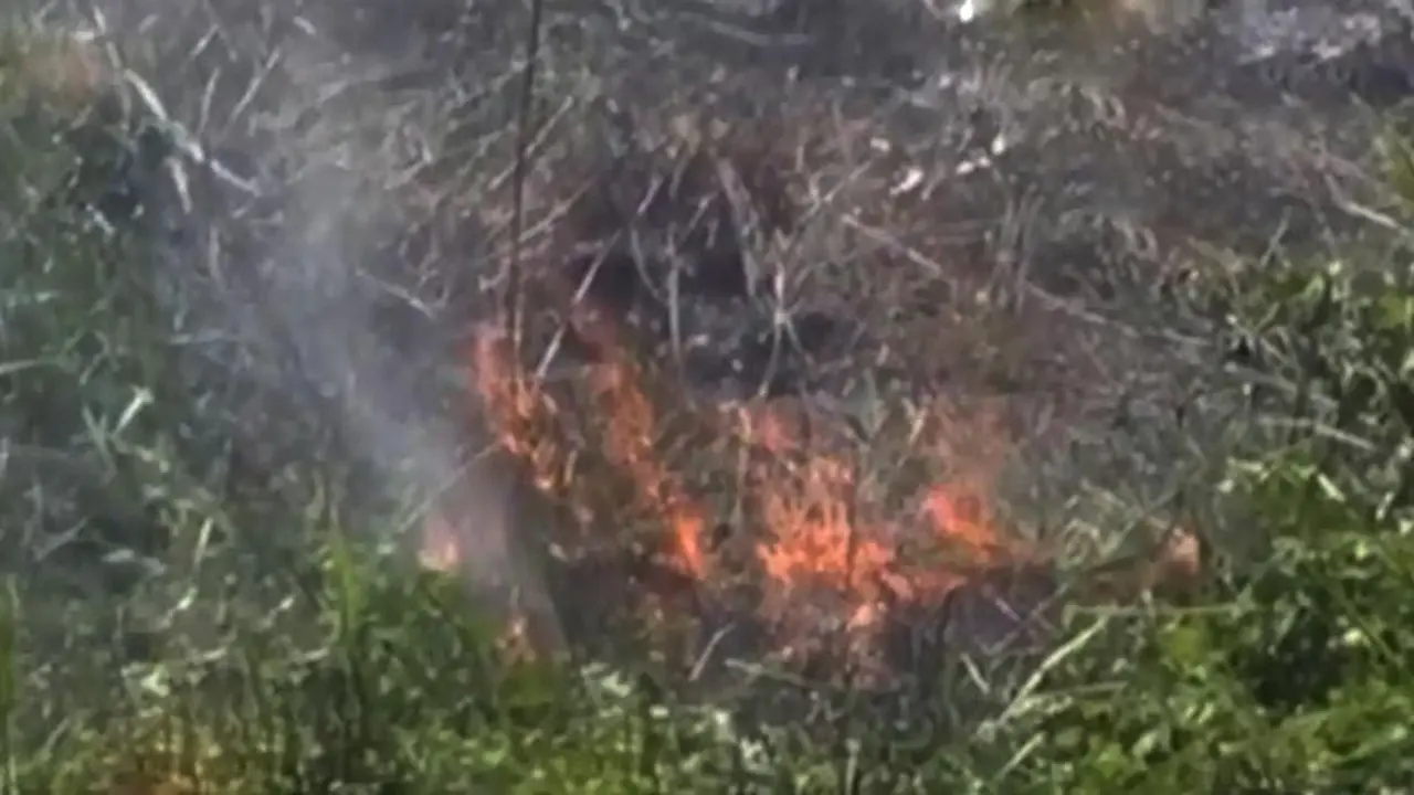 600 Hektare Lahan di Jambi Ludes Dilalap Api