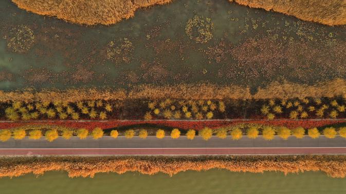 Foto dari udara yang diabadikan pada 18 Oktober 2020 ini menunjukkan pemandangan di tempat wisata Danau Shahu di Wilayah Pingluo, Shizuishan, Daerah Otonom Etnis Hui Ningxia, China barat laut. (Xinhua/Wang Peng)