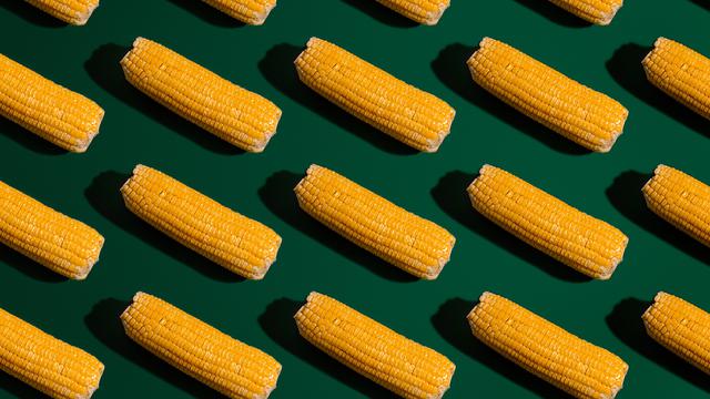 Ilustrasi mimpi, jagung