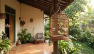 Cara Membersihkan Sangkar Burung yang Aman: Harian hingga Bulanan