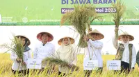 Wakil Menteri Pertanian RI (Wamentan) Harvick Hasnul Qolbi meninjau panen raya padi di Desa Pulomulya, Kecamatan Lemahabang, Kabupaten Karawang, Jawa Barat.