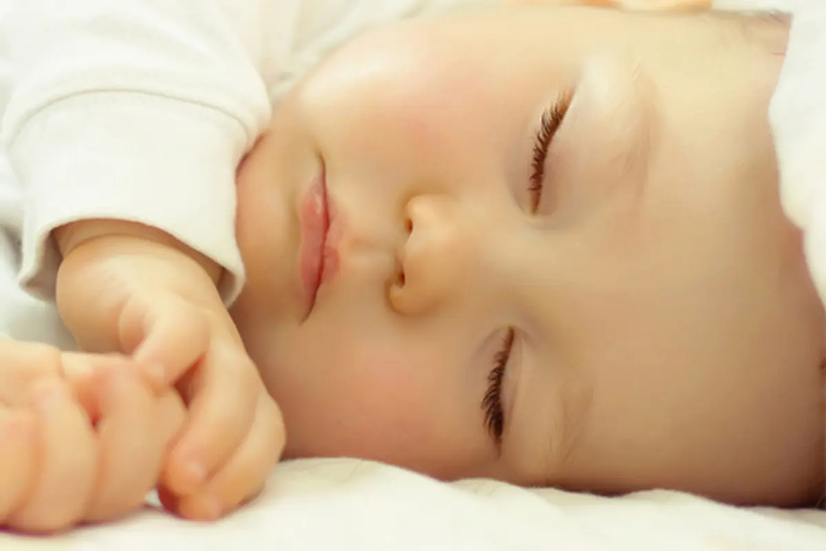 Foto: copyright shutterstock