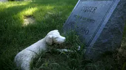Sebuah nisan anjing untuk "Ginger" terlihat di Memorial Park in Aspen Hill, Maryland, 25 Agustus 2015. Didirikan sejak tahun 1921, lebih dari 50.000 hewan dimakamkan di tempat ini. (REUTERS/Gary Cameron)