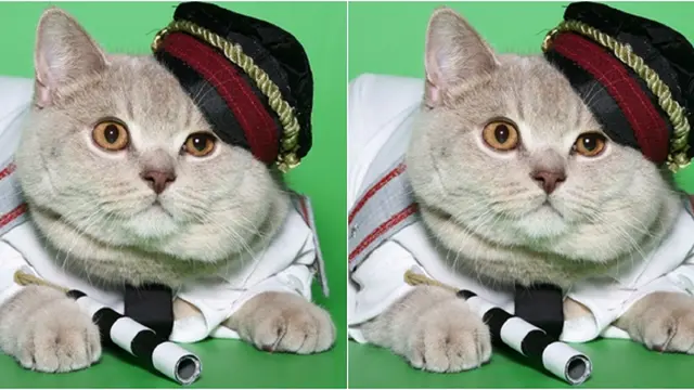 Foto Copyright Listverse.com