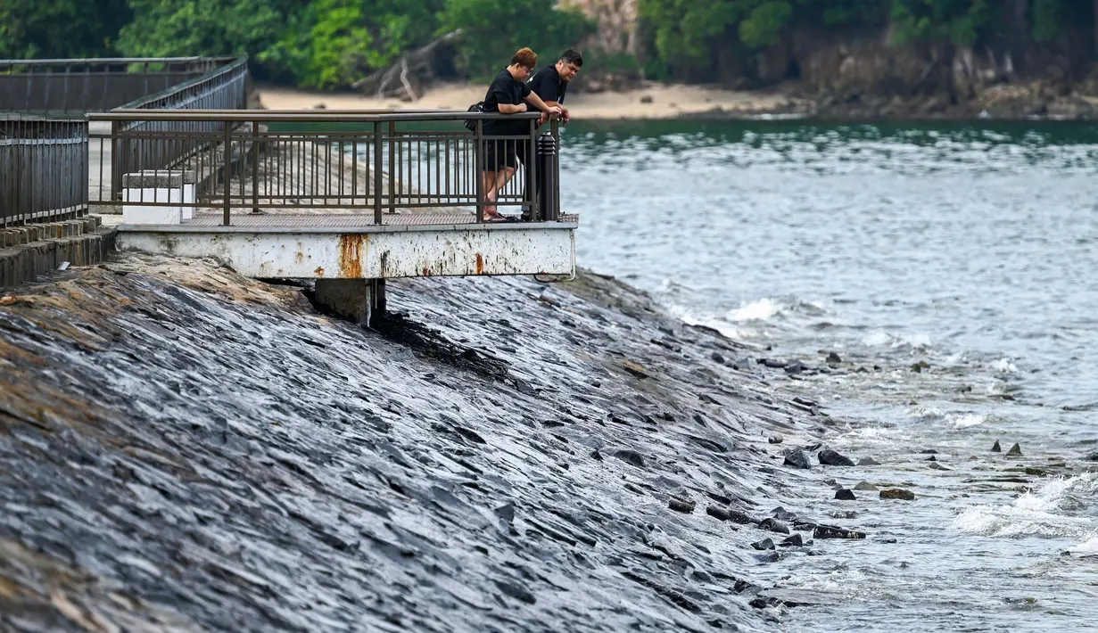 Tumpahan minyak terdampar di garis pantai negara kota tersebut menyusul kecelakaan di terminal pelabuhan Pasir Panjang. (ROSLAN RAHMAN/AFP)