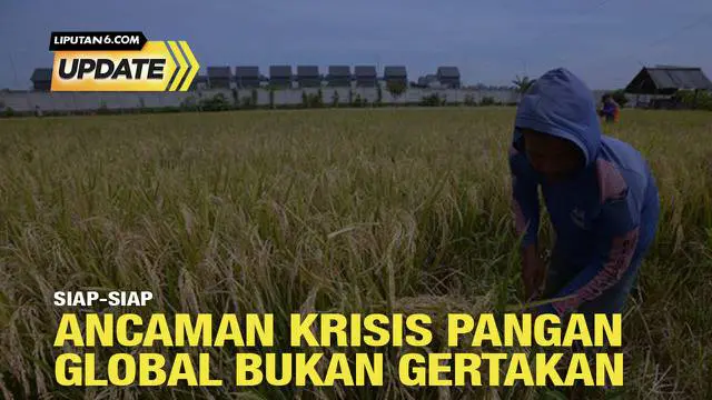 Krisis pangan berkali-kali disuarakan para pemimpin dunia sebagai ancaman global saat ini. Apa penyebab dan langkah yang perlu ditempuh Indonesia menghindari bencana ini?