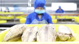 Pekerja mengolah ikan di pabrik sebuah perusahaan makanan di Donggang, Provinsi Liaoning, China, 10 September 2020. Perusahaan-perusahaan produk ikan di Donggang sedang mengembangkan sejumlah produk olahan baru dan memperluas saluran pemasaran untuk memastikan penjualan mereka. (Xinhua/Yao Jianfeng)
