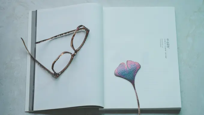 Pembatas Buku - Vania