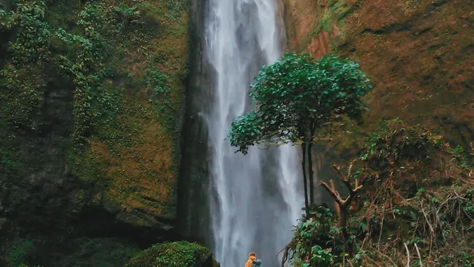 [Bintang] Jawa Timur