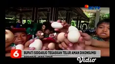 Bupati Sidoarjo, Saiful Illah, menyelenggarakan kegiatan Gerakan Makan Telur bersama siswa/siswi dalam rangka menepis dugaan telur mengandung dioksin sekaligus merayakan Hari Pangan Sedunia.