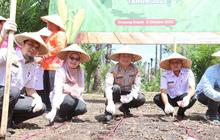 Fakta Unik: 22,5 Ton Bantuan Benih Jagung Kementan Siap Dongkrak Produksi Pasaman Barat
