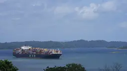 Sebuah kapal kargo menunggu di danau Gatun, untuk transit melalui kunci Agua Clara di Terusan Panama di Agua Clara, Panama, Kamis, 3 Agustus 2023. Otoritas Terusan Panama mengatakan pihaknya membatasi lalu lintas menjadi 32 transit kapal setiap hari melalui terusan setelah berbulan-bulan mengalami kekeringan dan memperkirakan akan ada penurunan pendapatan pada tahun 2024 karena krisis air yang sedang berlangsung. (AP Photo/Arnulfo Franco)