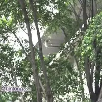 Kebakran terjadi di jalan Kali Pasir Cikini, Kamis (16/6) Agen Elpiji diamuk si jago merah.