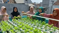 10 Ide Kebun Sayur di Lahan Sempit untuk Ibu PKK, Solusi Praktis Panen Segar di Rumah