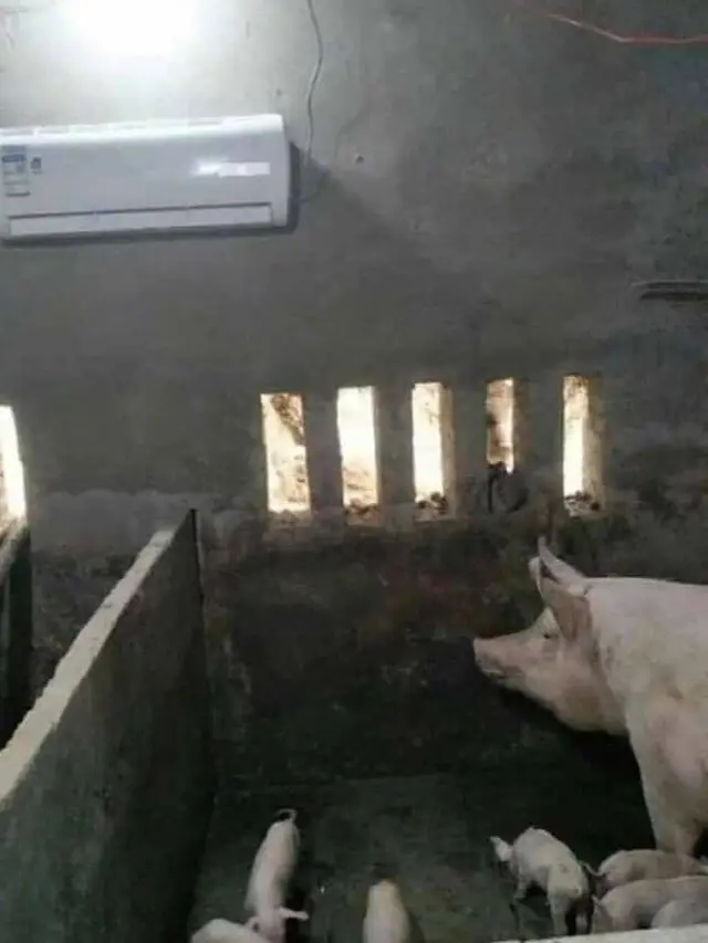 6 Potret Cara Nyeleneh Pasang AC di Tempat Tak Biasa Ini Bikin Tepuk Jidat
