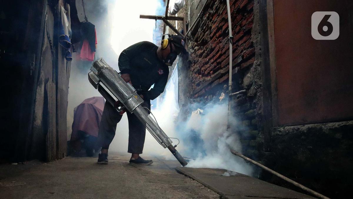 Hadapi Lonjakan Kasus Dengue, Kalimantan Utara Resmi Mulai Program Vaksinasi DBD