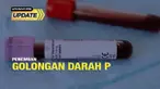 Sebuah rumah sakit di Provinsi Jiangsu, China baru-baru ini menemukan adanya urutan genetik baru untuk golongan darah langka tipe P. Diketahui temuan tersebut menjadi kasus yang langka karena golongan darah tipe P merupakan golongan darah yang sangat...