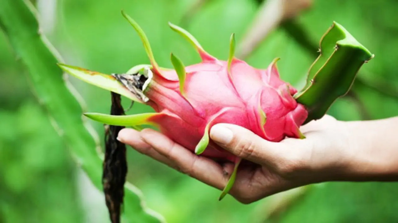 Foto: copyright thinkstockphotos.com