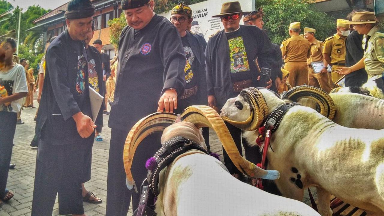 Dengan pemasangan chip itu, menurut Beni, di manapun domba asli Garut itu berada pada saat dikawinkan dengan turunan domba Garut lainnya akan tetap terlihat.<br>