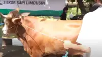 Persit Kartika Chandra Kirana serahkan 3 sapi kurban ke Disbintal AD. (YouTube TNI AD)
