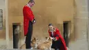 Dua anjing corgi milik Ratu Elizabeth II menunggu kedatangan peti mati sang majikan di Kastil Windsor, Senin 19 September 2022. Pertengahan dekade 2010-an, sang Ratu sebenarnya sempat berhenti mengadopsi anjing, karena tak ingin peliharaan kesayangannya merana setelah ia meninggal dunia.  (Foto: AP Photo/Gregorio Borgia, Pool)