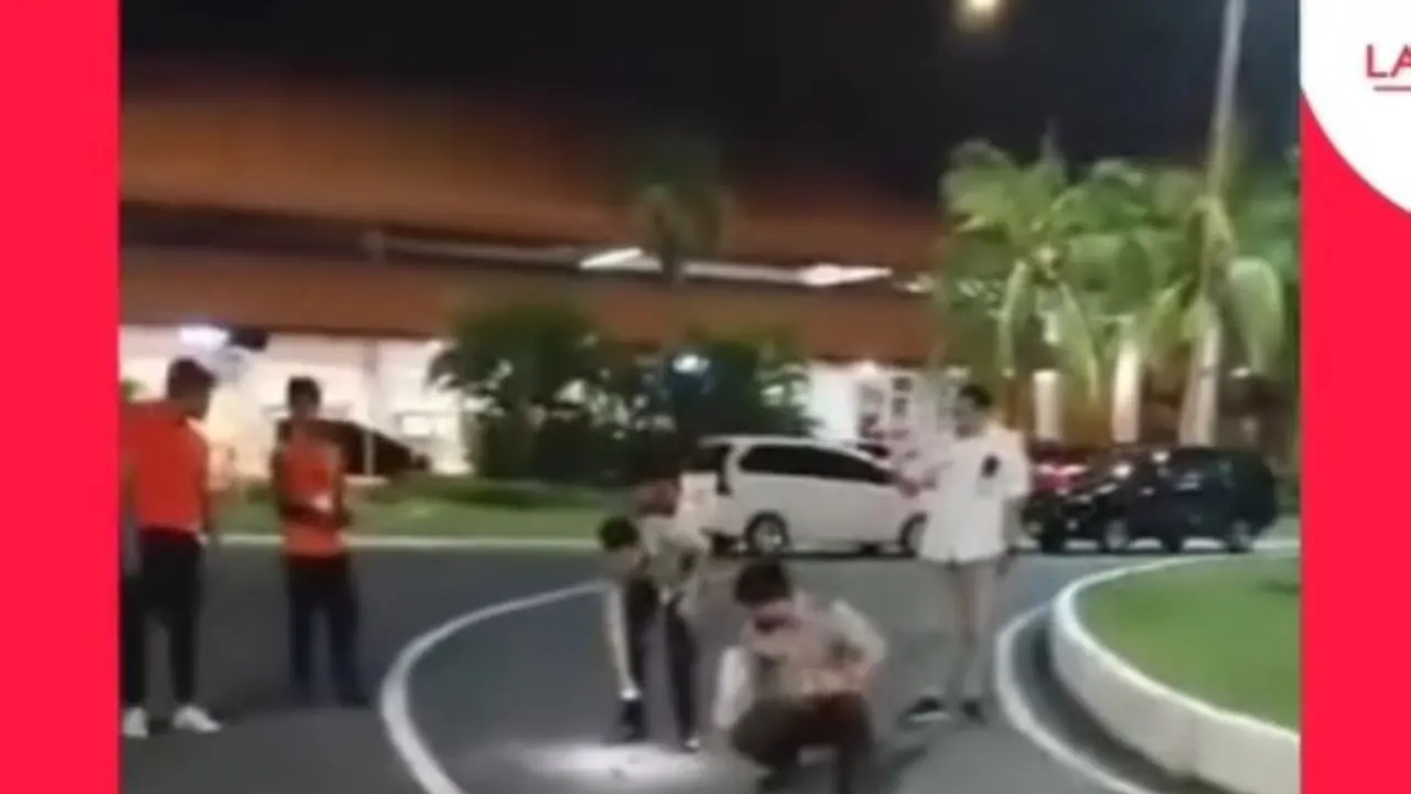 Ratusan Burung Pipit Mati Mendadak di Bandara Ngurah Rai Bali, Apa Penyebabnya?