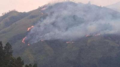 Kebakaran Gunung Lawu Meluas, Petugas Temukan Bekas Pembakaran