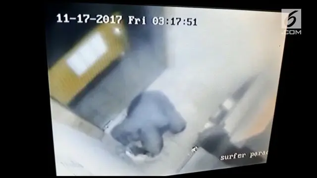 Sebuah rekaman CCTV berhasil menangkap aksi seorang pencuri yang mengangkut mesin ATM.