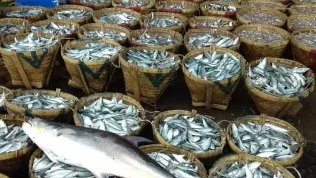 Sambut IDAFLW, GAIN Tingkatkan Kesadaran Kurangi Susut Makanan Bergizi