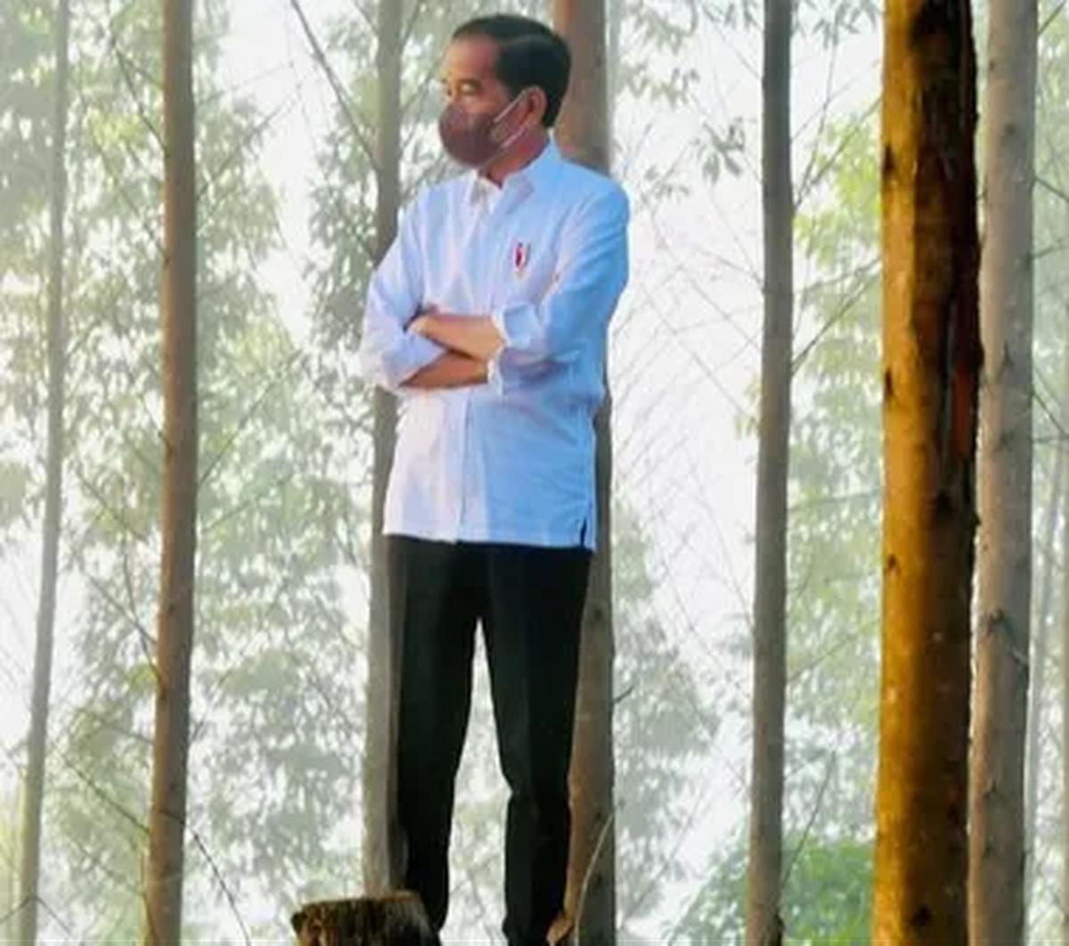 "Artinya, sudah 12 tahun. Memang banyak problem di lapangan, utamanya masalah pembebasan lahan/pembebasan tanah," kata Presiden Jokowi.
