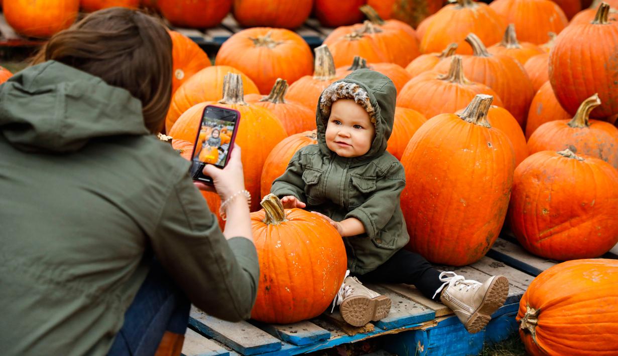 Seorang anak berpose untuk difoto bersama labu di sebuah festival labu, atau dikenal sebagai Pumpkinfest, di Lincolnshire, Illinois, Amerika Serikat (AS), pada 17 Oktober 2020. Belakangan ini, banyak kota di Illinois menggelar festival labu menjelang perayaan Halloween. (Xinhua/Joel Lerner)