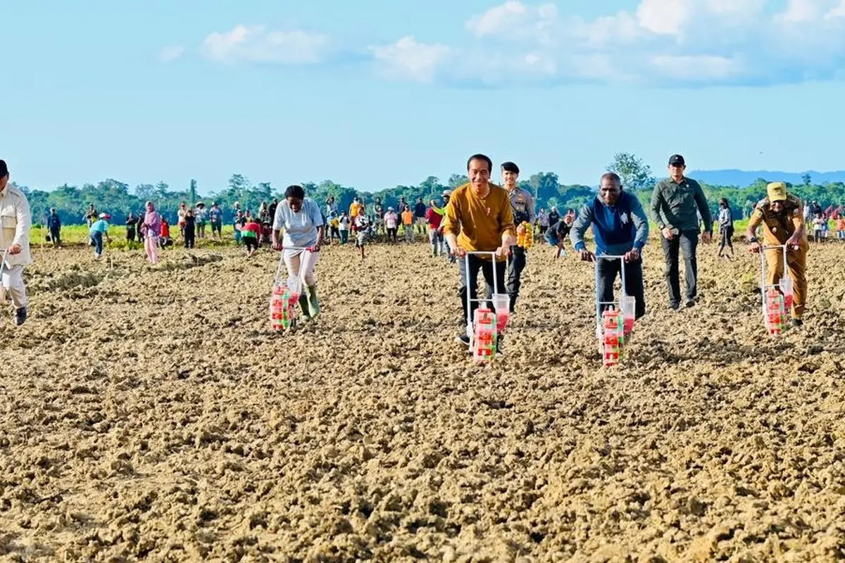 Presiden Jokowi ditemani Menteri Pertahanan Prabowo Subianto meninjau lumbung pangan atau food estate di Kabupaten Keerom, Provinsi Papua