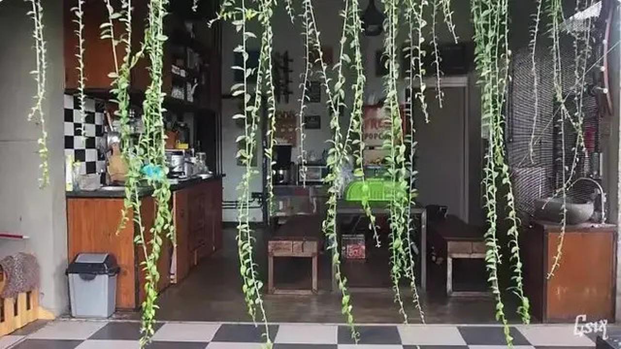 Potret Dapur Model Kayu Milik Cella Kotak, Unik dan Memikat di Tengah Hijau Kota Yogyakarta