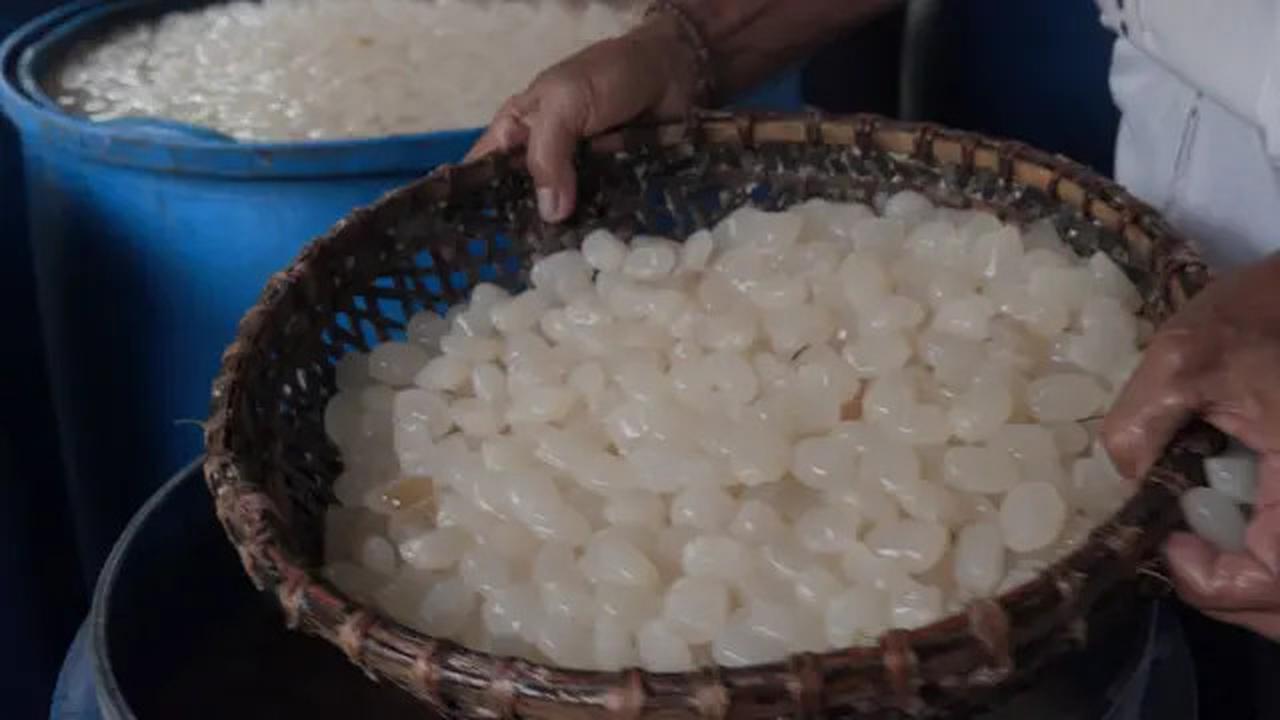 Manfaat Kolang-Kaling Rahasia Sehat Turunkan Kolesterol dan Asam Urat