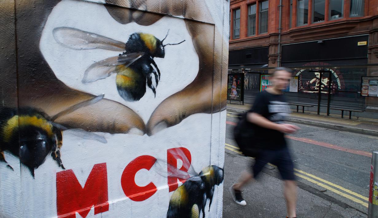 Download 400 Koleksi Gambar Grafiti Lebah Terbaik Gratis