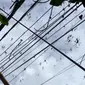 Turis Inggris merinding rekam ratusan laba-laba di Bali. (dok. tangkapan layar video TikTok @graces__adventures/https://www.tiktok.com/@graces__adventures/video/7329803070777347361)