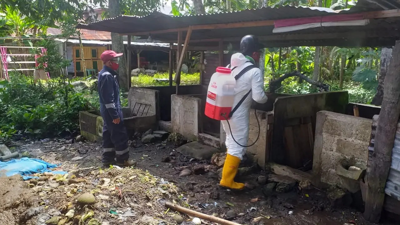 Kementan Terus Pantau dan Koordinasikan Penanganan Kasus Demam Babi Afrika