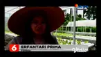 Di tengah mewabahnya Covid-19, sayur organik di kebun edukasi hidroponik, Jember justru meraup berkah sejak 1 bulan terakhir, permintaan sayur mayur beragam. Banyak permintaan sayur organik karena untuk kebutuhan nutrisi dan kesehatan tubuh.